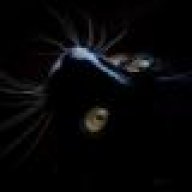 Александра Осинцовская