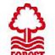 пьяный настрадамус