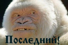76463220у.jpg